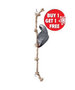 Parrot supplies near me hot sale